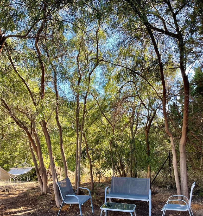 Seaside Retreat House Villa Kakovatos Dış mekan fotoğraf