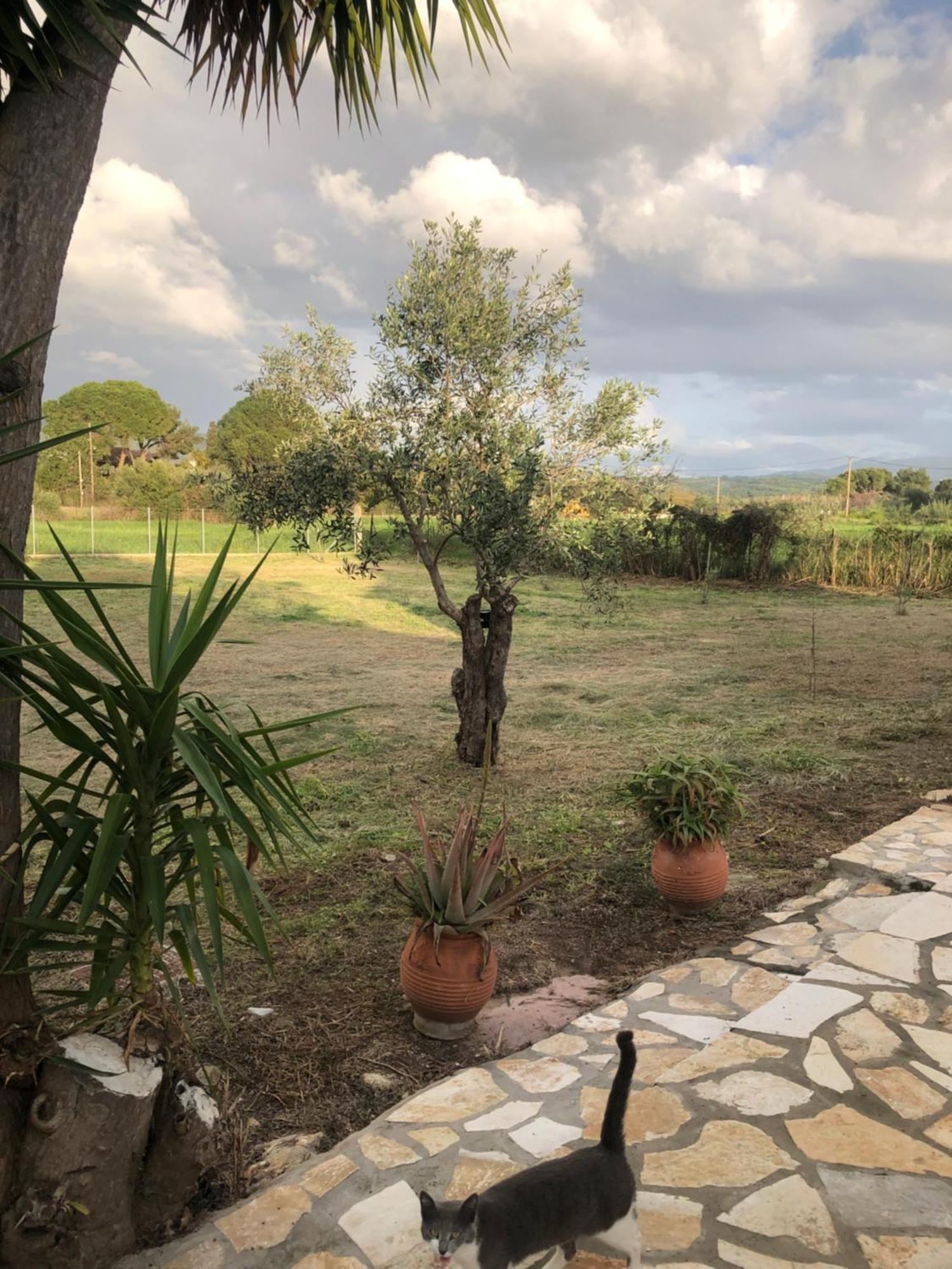 Seaside Retreat House Villa Kakovatos Dış mekan fotoğraf